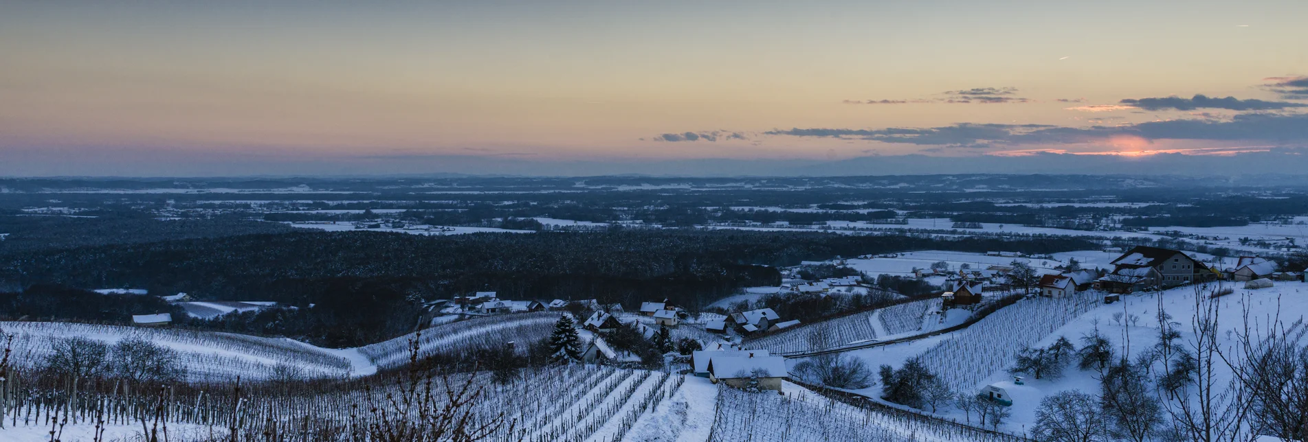 Snow covered vineyards in Bad Radkersburg | © Thermen- & Vulkanland | pixelmaker.at | pixelmaker.at