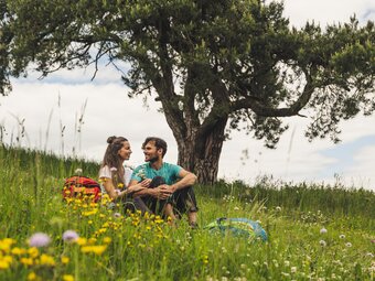 Pärchen genießt Wanderpause in Blumenwiese unter Baum