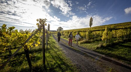 Wandern in Klöch | © STG | Tom Lamm