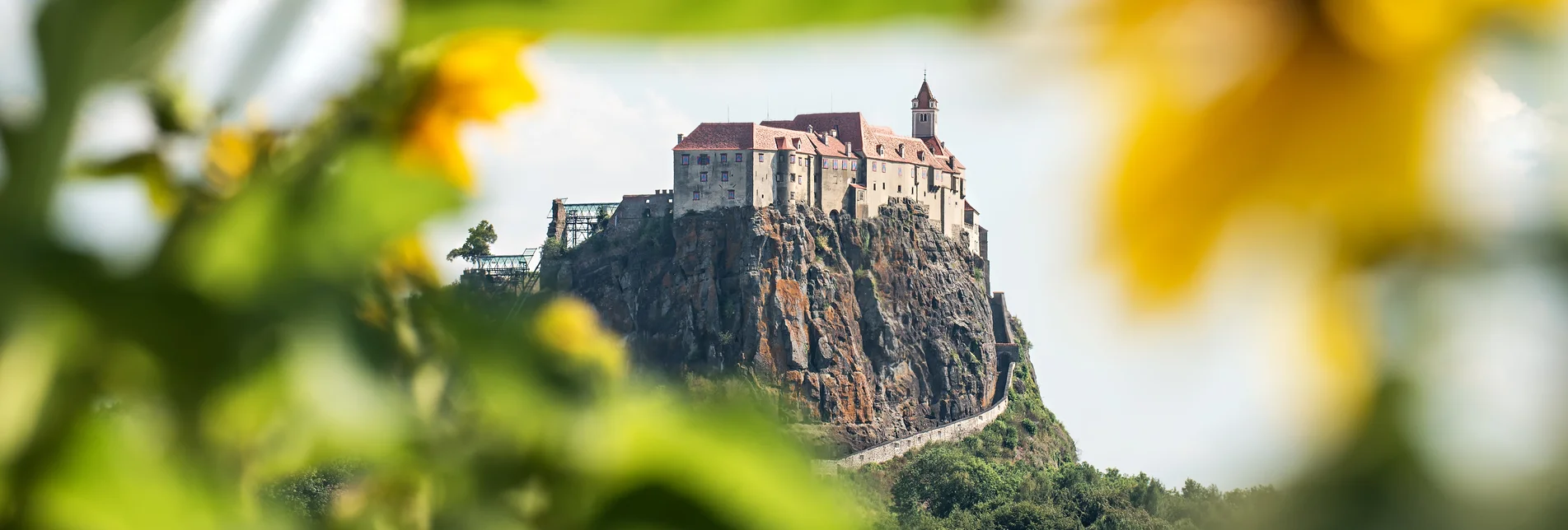Die Riegersburg thront eindrucksvoll auf einem steilen Vulkanfelsen, eingerahmt von Sonnenblumen und üppigem Grün unter einem leicht bewölkten Himmel. | © Tourismusverband Thermen- & Vulkanland I derferder.at