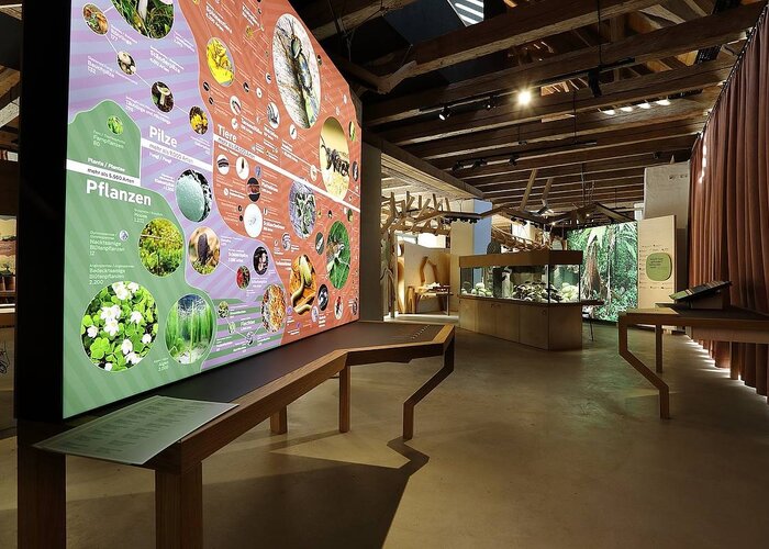 House of Biodiversity in Eastern Styria | Tierwelt Herberstein