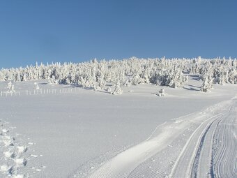 Cross-country skiing on the Rabl-Kreuz cross-country skiing run at the foot of the Hochwechsel in Eastern Styria