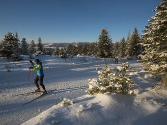 Cross-country skiing on the Joglland cross-country ski run in Eastern Styria