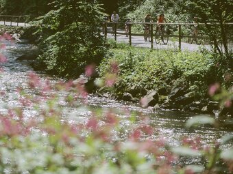 Radfahren entlang der Feistritz am Feistritztalradweg R8