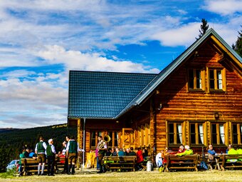 Sommer auf der Glatzl Trahütten Alm in der Oststeiermark