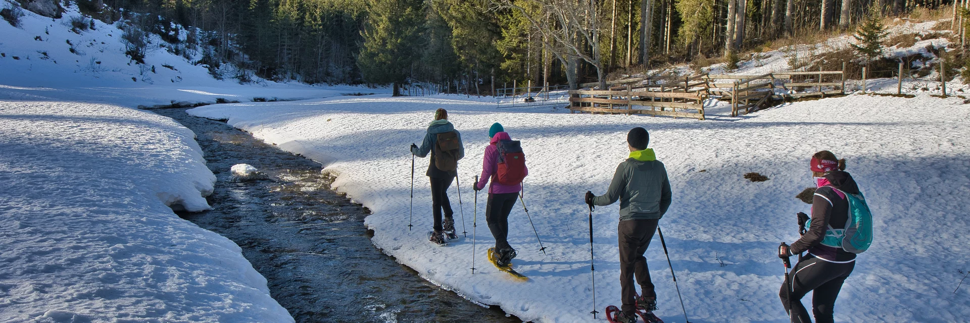 Schneeschuhwandern auf der Tyrnauer Alm in der Oststeiermark | © Oststeiermark Tourismus Schneeschuhwandern auf der Tyrnauer Alm in der Oststeiermark | © Oststeiermark Tourismus