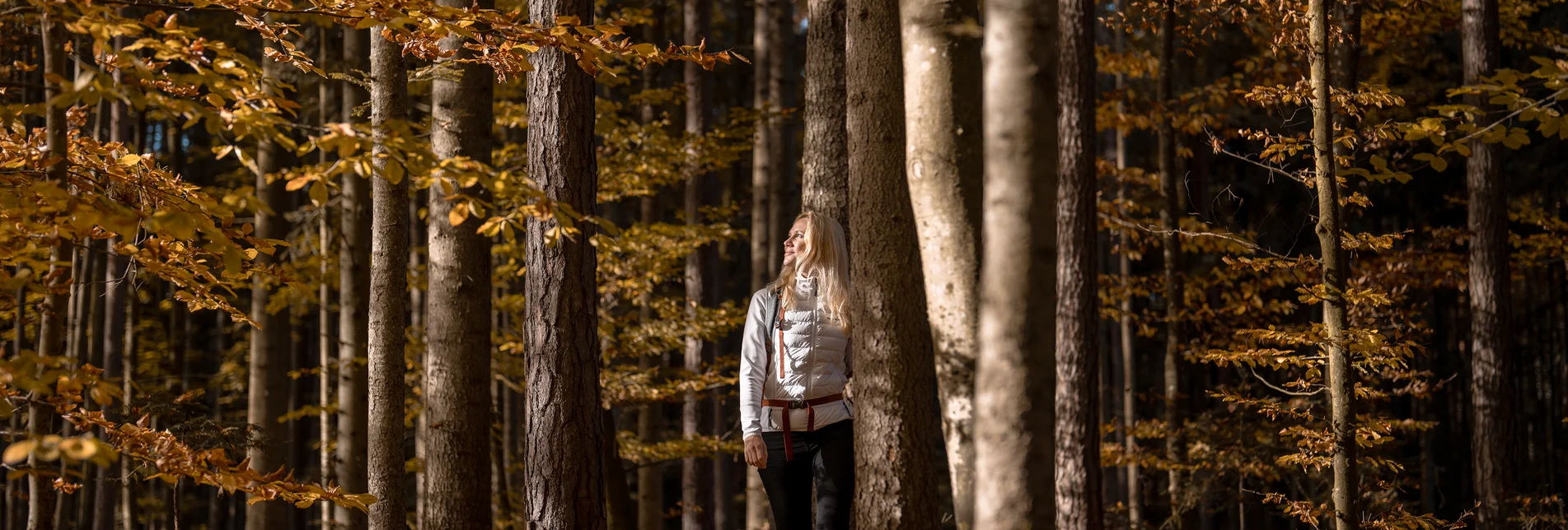Walk through the autumn forest | © 
Oststeiermark Tourismus | Alex Lang
