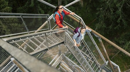 Wild meadow observation point on the wild meadow in eastern Styria | © Oststeiermark Tourismus |  Bernhard Bergmann