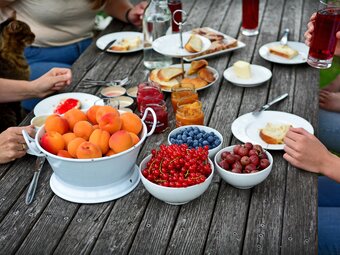 Früchte vom Kleinhofers Himbeernest im Apfelland