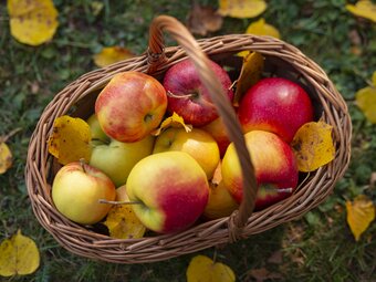 Apple basket from Eastern Styria