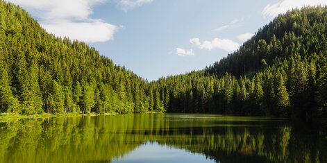 Auerling See