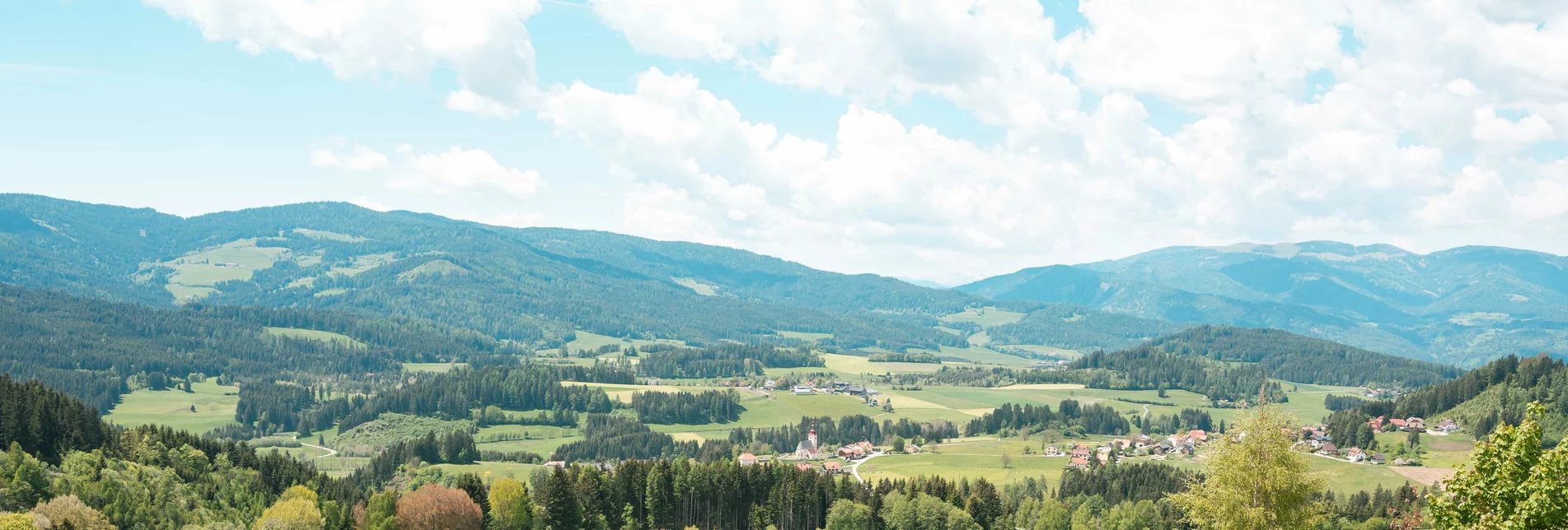Blick auf Mühlen mit Wiese und Wald im Vordergrund