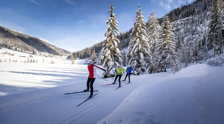 © Region Murau | Tom Lamm