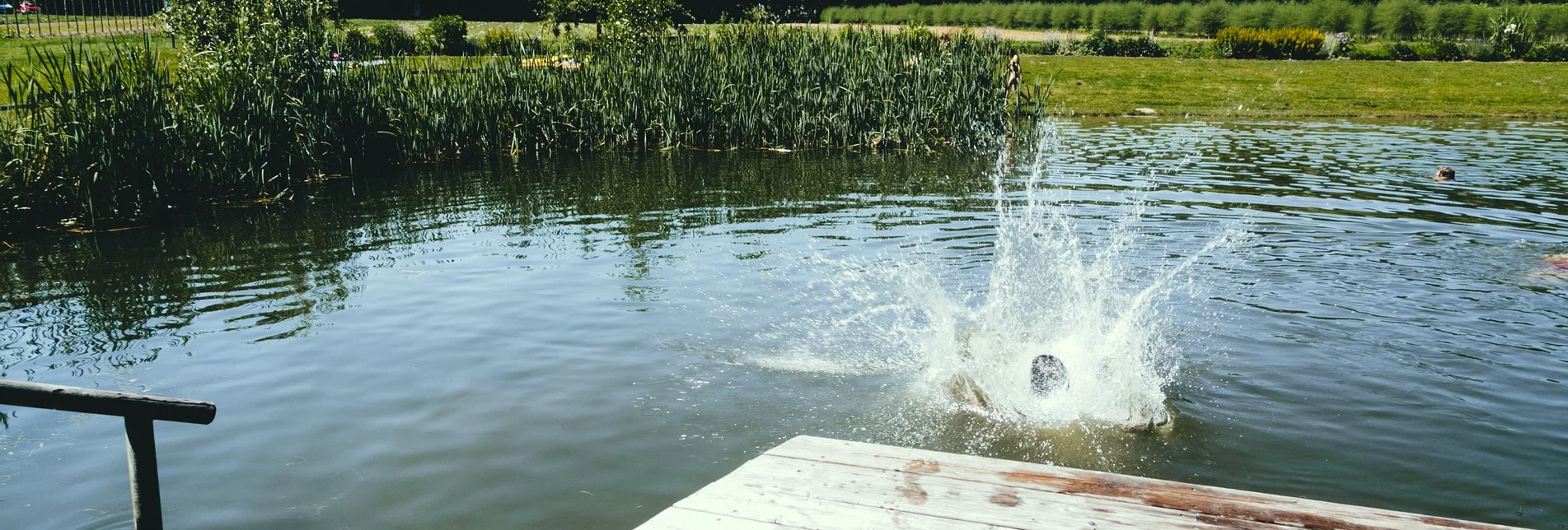 Baden im Naturteich  | © TV Suedsteiermark |  Lupi Spuma