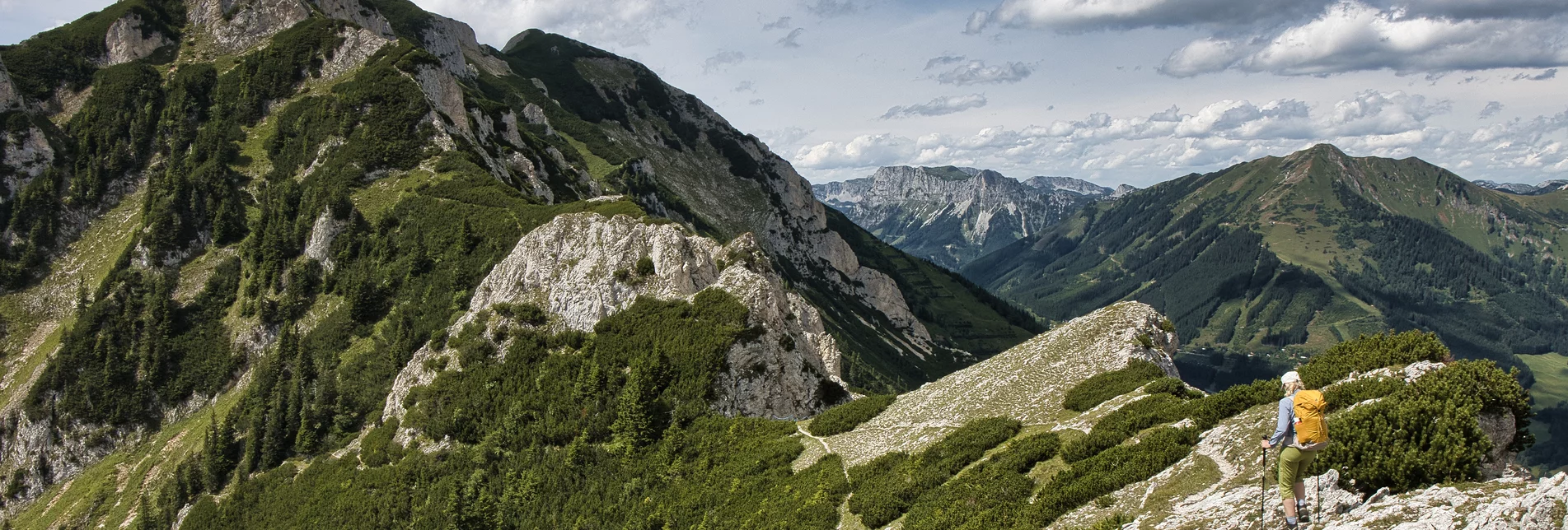 Grete Klinger Steig | © Erzberg-Leoben | Weges