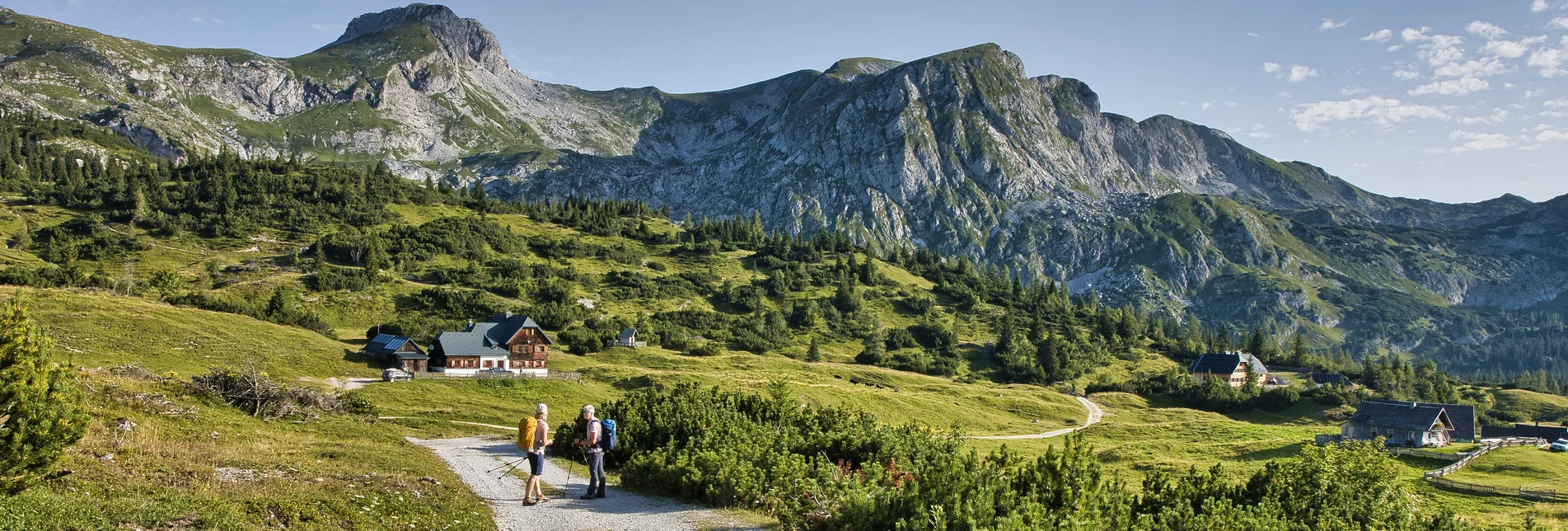 Weg über die Sonnschienalm | © Erzberg-Leoben | Weges