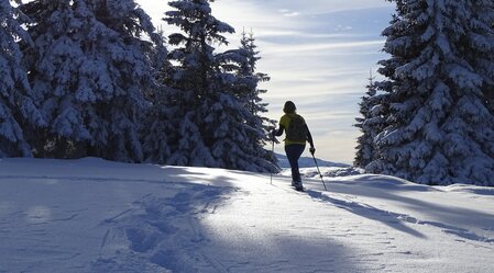 Winterwandern | © Erzberg-Leoben | Weges