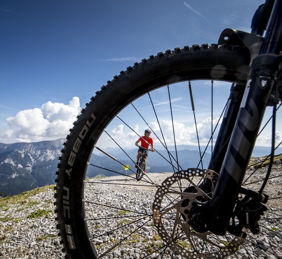 © TV Hochsteiermark | Tom Lamm
