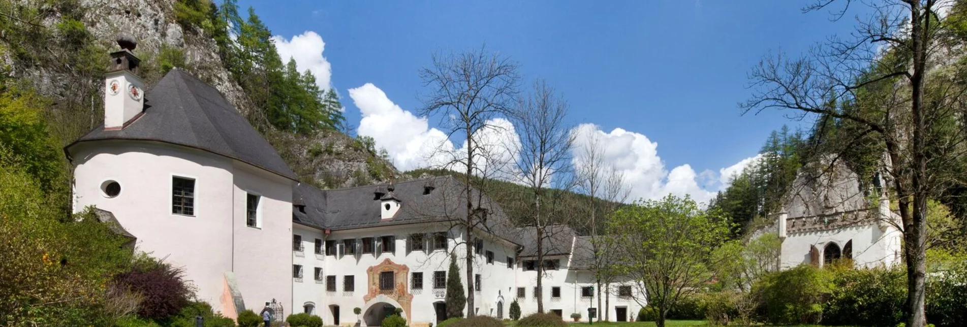 Ein alte Schlossanlage umgeben von einer Felswand mit Bäumen und grüner Wiese