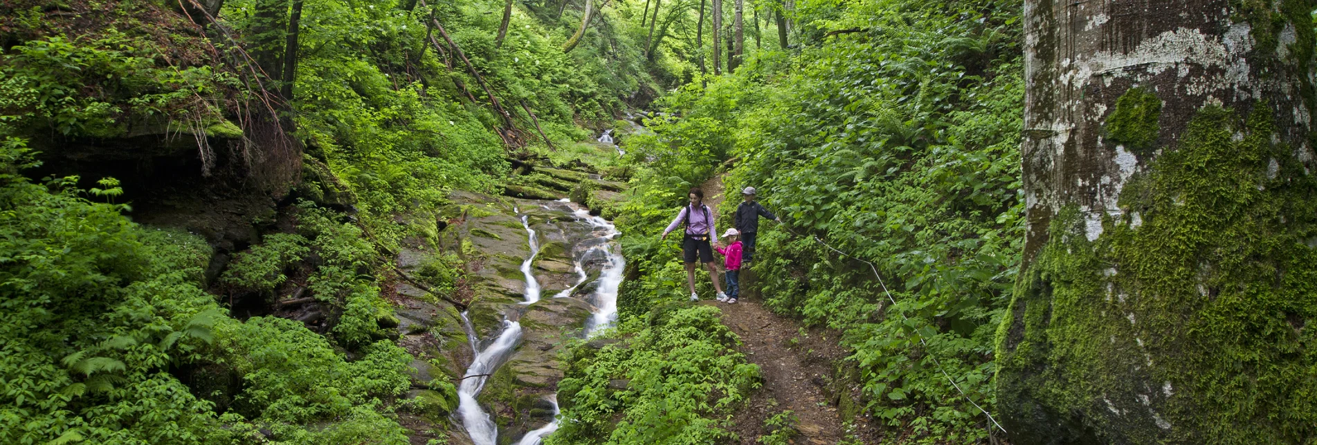 PackageWanderurlaub am höchstgelegenen Weingut der Steiermark -  | © Steiermark Tourismus