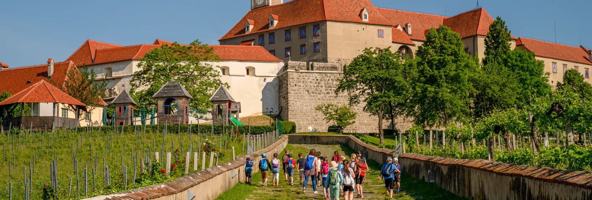 Package Squire Ticket - Castle Riegersburg
