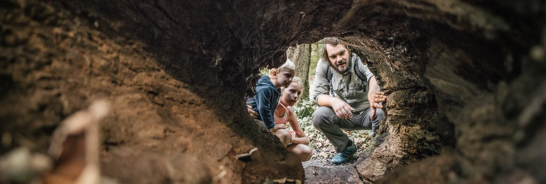 PackageWalderlebnis: Den Wald mit allen Sinnen erleben - Nationalpark Gesäuse | © Nationalpark Gesäuse