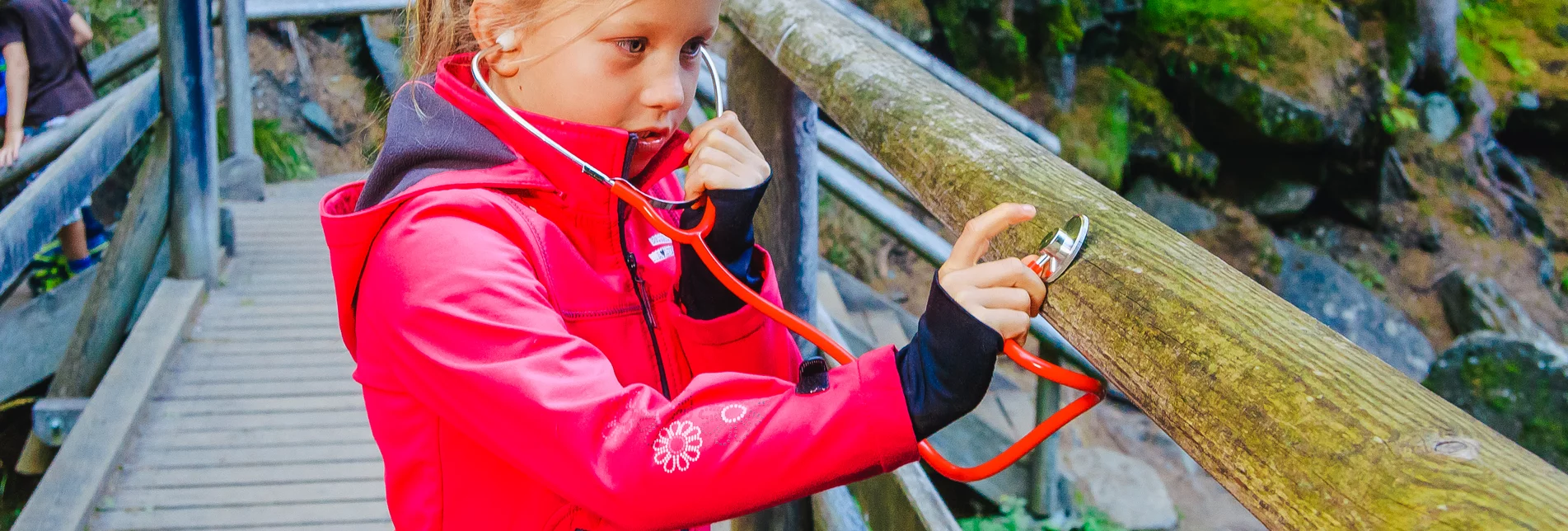 Package3 days nature park - Zirbitzkogel-Grebenzen Nature Park