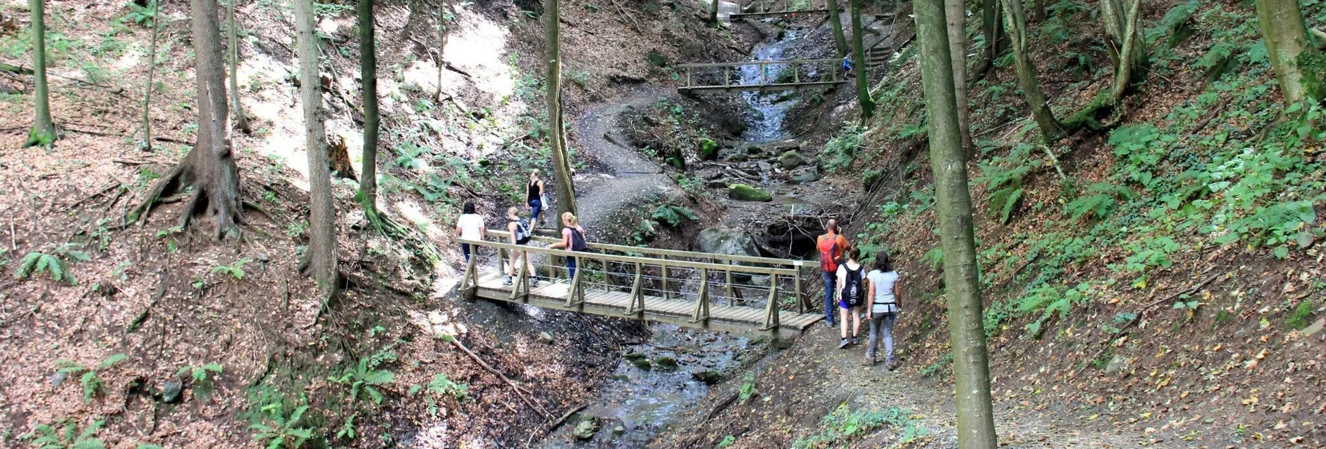 Wanderung Altenbachklamm  - Touren-Impression #1 | © TV Die Südsteirische Weinstraße/Ulrike Elsneg