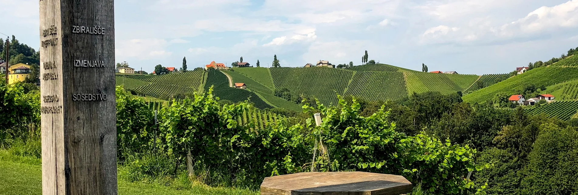 Wanderung Etappe 23 Vom Gletscher zum Wein Südroute Leutschach - Ratsch an der Weinstraße - Touren-Impression #1 | © (c) Steiermark Tourismus/Martina Traisch