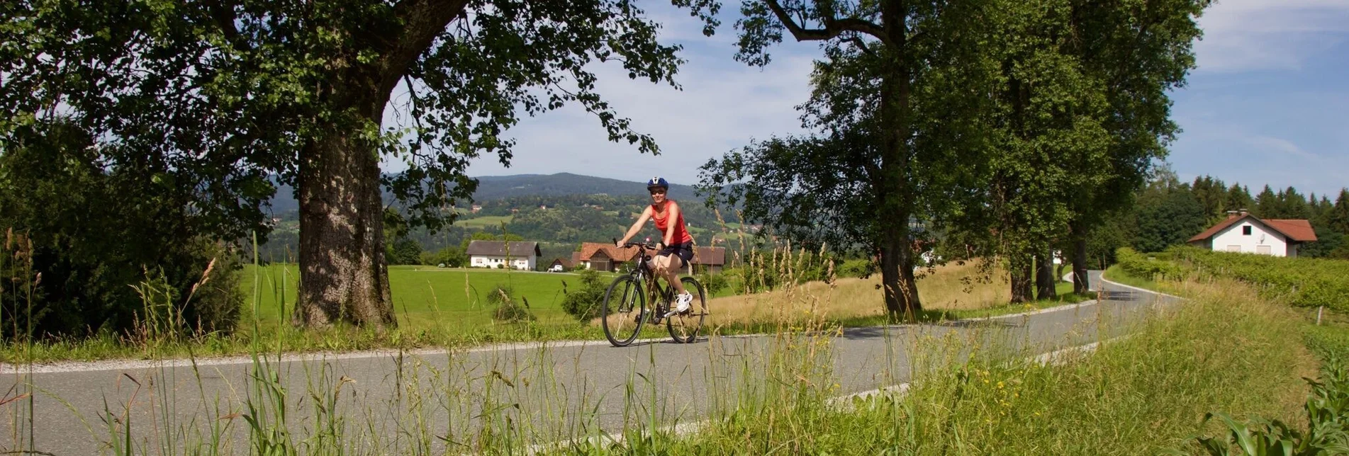 Bike Riding Three Markets Tour - Touren-Impression #1 | © Region Graz