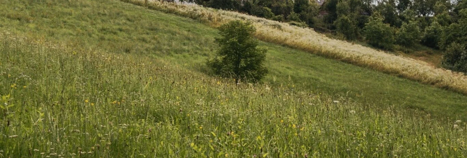 Wanderung Greith-Wege – Genusstour  - Touren-Impression #1 | © TV Südsteiermark/Silvan