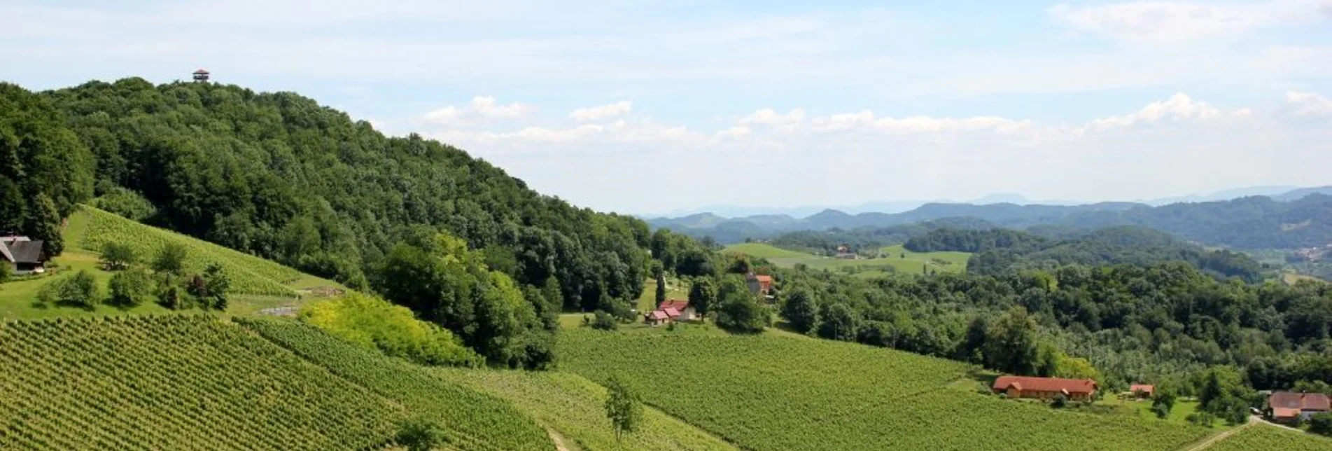 Radfahren Weinstraßen Tour Variante Ottenberg-Ratsch - Touren-Impression #1 | © Südsteiermark