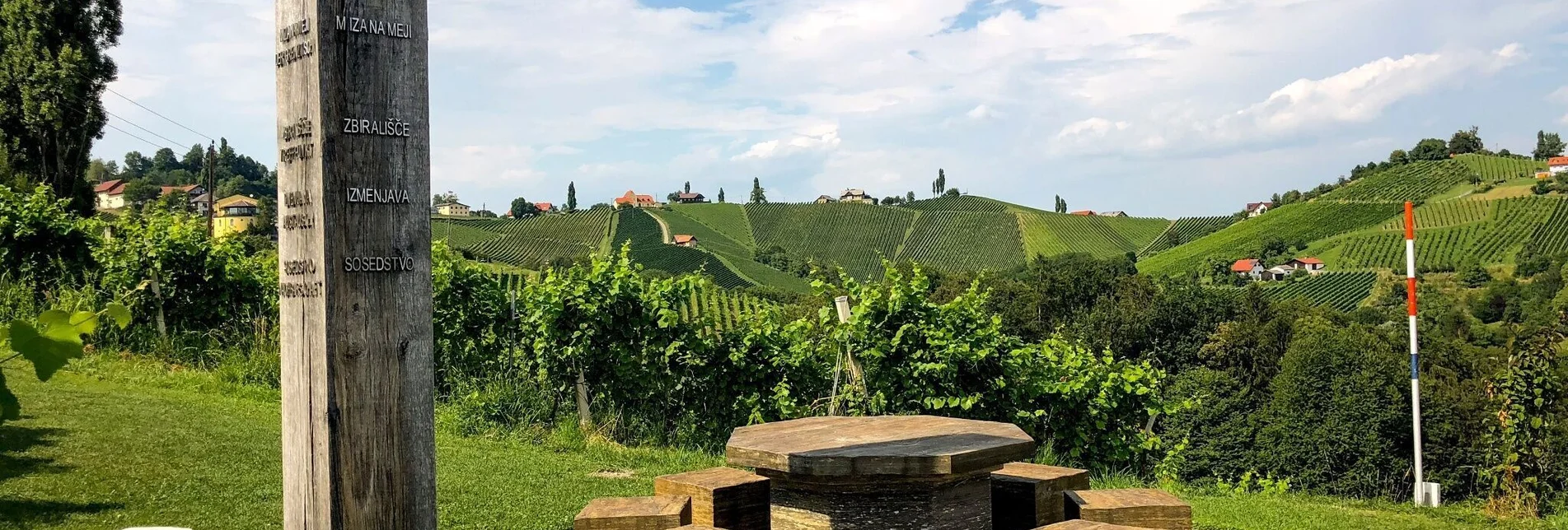 Wanderung Kulinarische Weinbergwanderung  - Touren-Impression #1 | © (c) Steiermark Tourismus/Martina Traisch