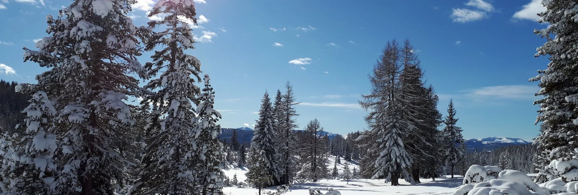 Schneeschuh Tour zur Holzerhütte - Touren-Impression #1 | © Tourismusverband Murau
