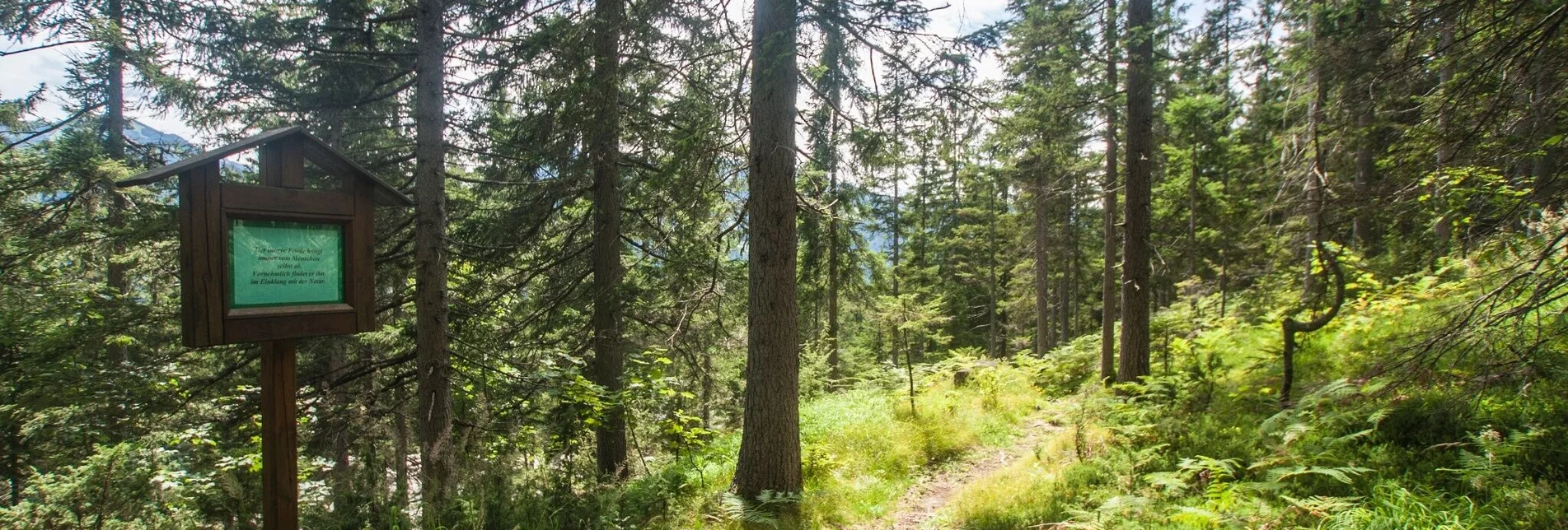 Wanderung Vorberger Weg der Besinnung - Touren-Impression #1 | © Gerhard Pilz