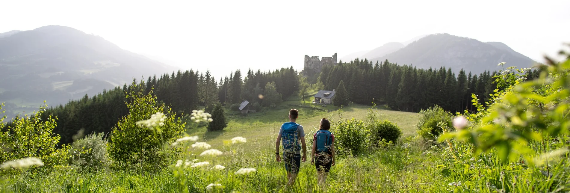 Hiking route Perchau, Kreuzeck, Steinschloss - Touren-Impression #1 | © TVB Murau
