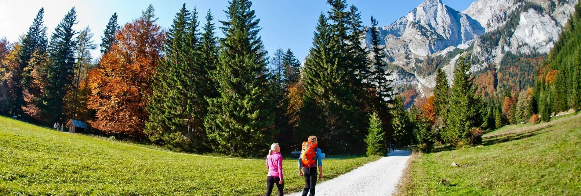 Hiking route Hike from Bodenbauer to Sackwiesensee - Touren-Impression #1 | © Steiermark Tourismus