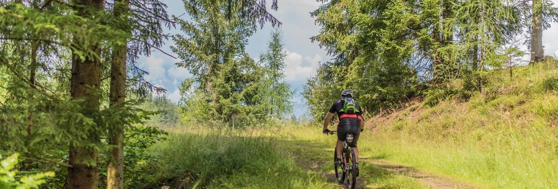 Mountain Biking Tour 67a - MTB - Roatmoaralm - Touren-Impression #1 | © Erlebnisregion Murtal