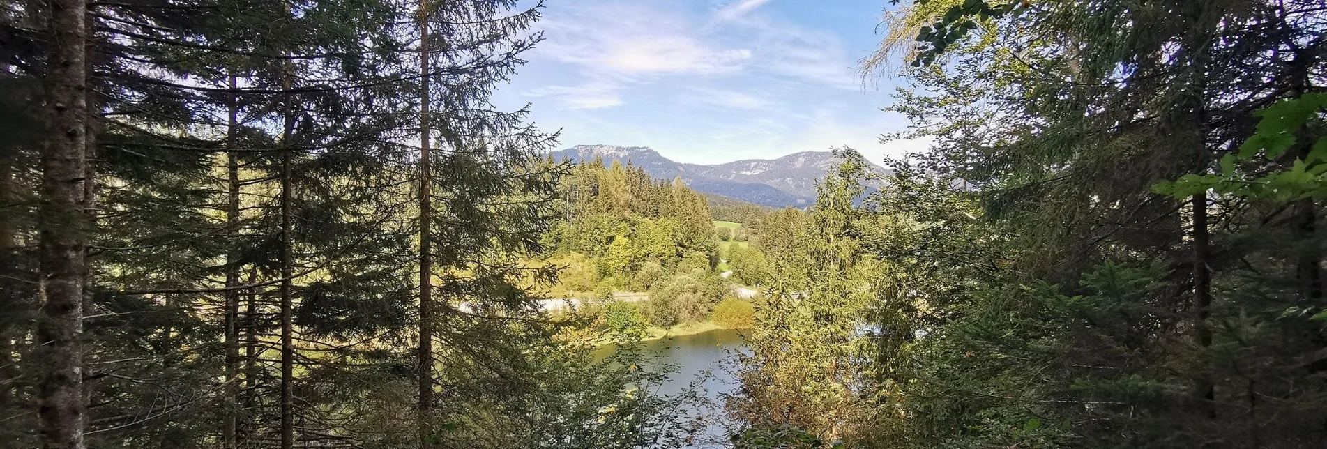 Hiking route The forest trail near the Salza reservoir - Touren-Impression #1 | © Ausseerland