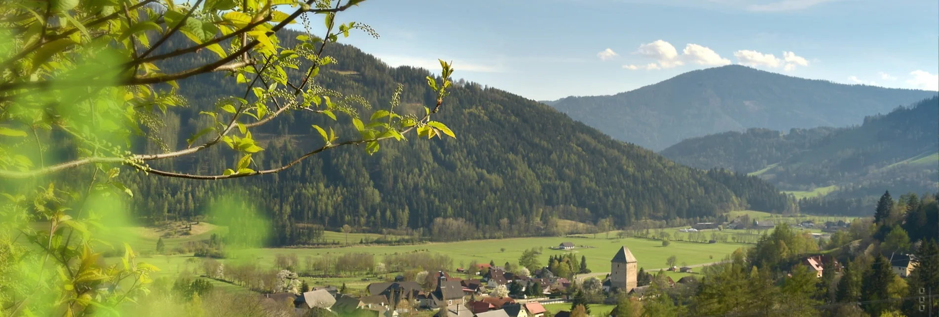 Motor Bike Shady side hike to Feistritz - Touren-Impression #1 | © Tourismusverband Murau