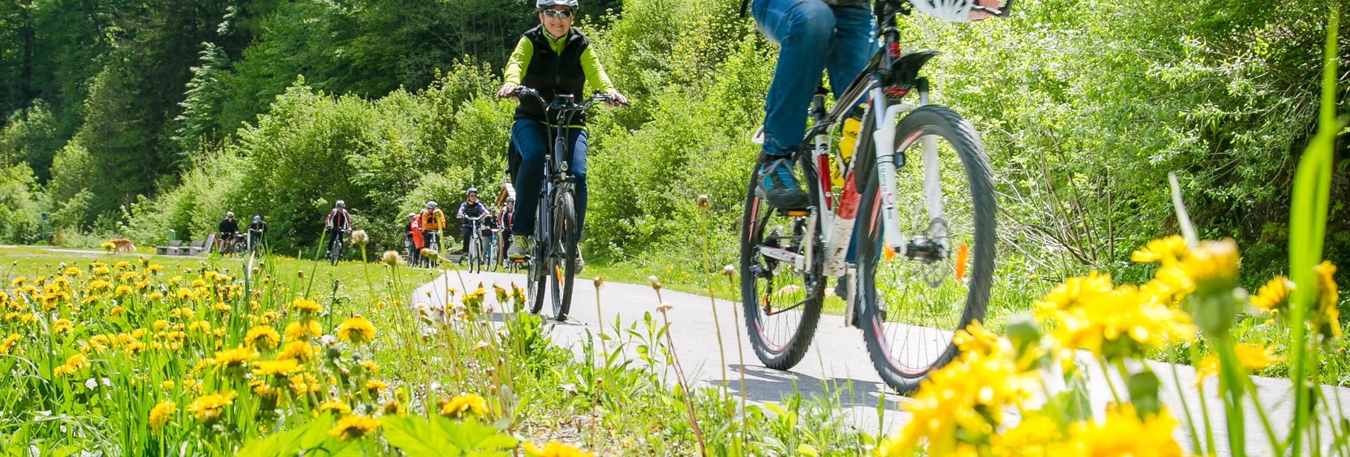 Bike Riding Cycle along the Mürztal cycle path in the Mürzer Oberland Nature Park - Touren-Impression #1 | © Naturpark Mürzer Oberland