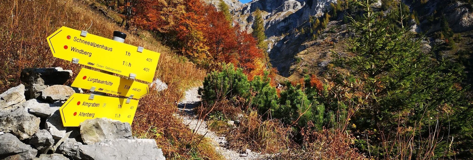 Hiking route Via the Alm- and Blarergraben to the Schneealm in the Mürzer Oberland Nature Park - Touren-Impression #1 | © TV Hochsteiermark