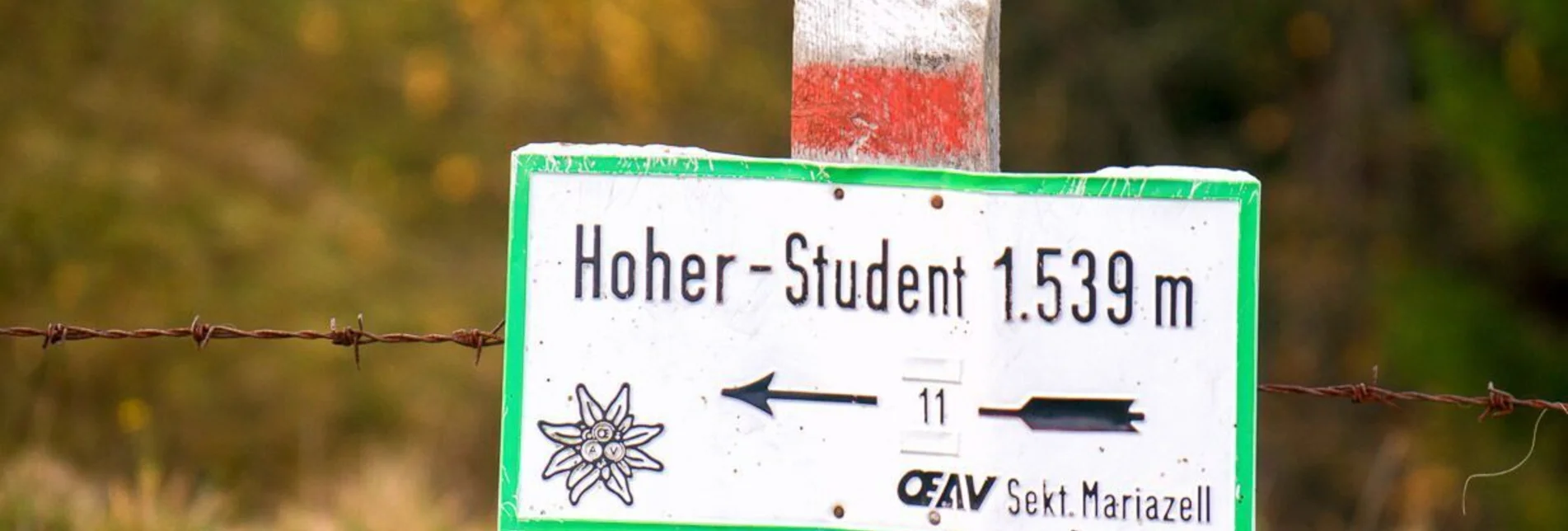 Hiking route Over the Freinsattel to the Hohe Student in the Mürzer Oberland Nature Park - Touren-Impression #1 | © TV Hochsteiermark