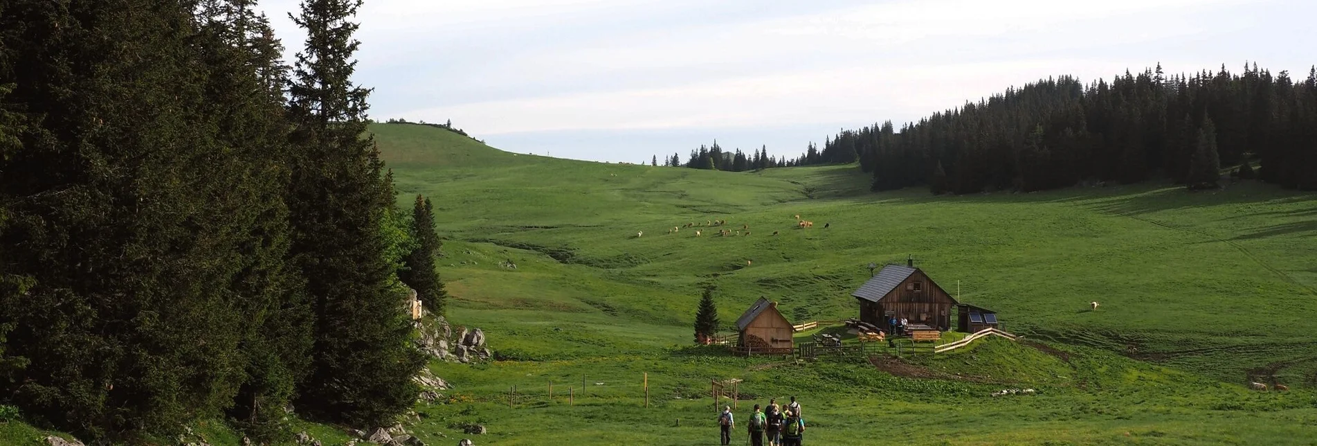 Hiking route Via Wetterin to the Tonion in the Mürzer Oberland Nature Park - Touren-Impression #1 | © TV Hochsteiermark
