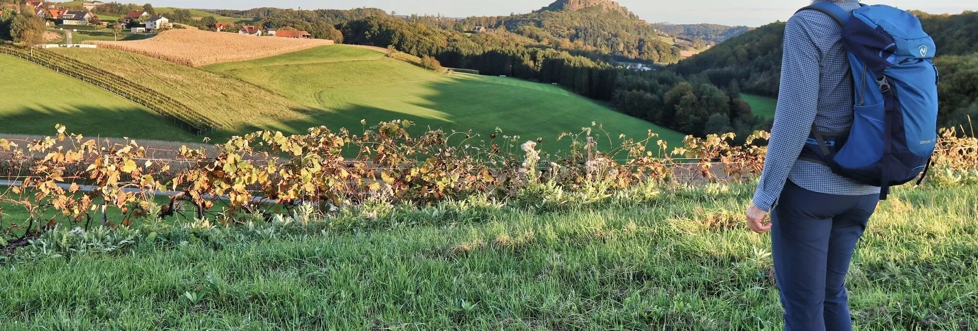 Hiking route Zotter-Schleife Genusswanderweg Riegersburg - Touren-Impression #1 | © Thermen- & Vulkanland