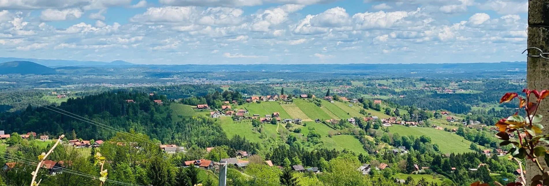 Wanderung Großer St. Stefan Rundweg S1 - Touren-Impression #1 | © Schilcherland Steiermark