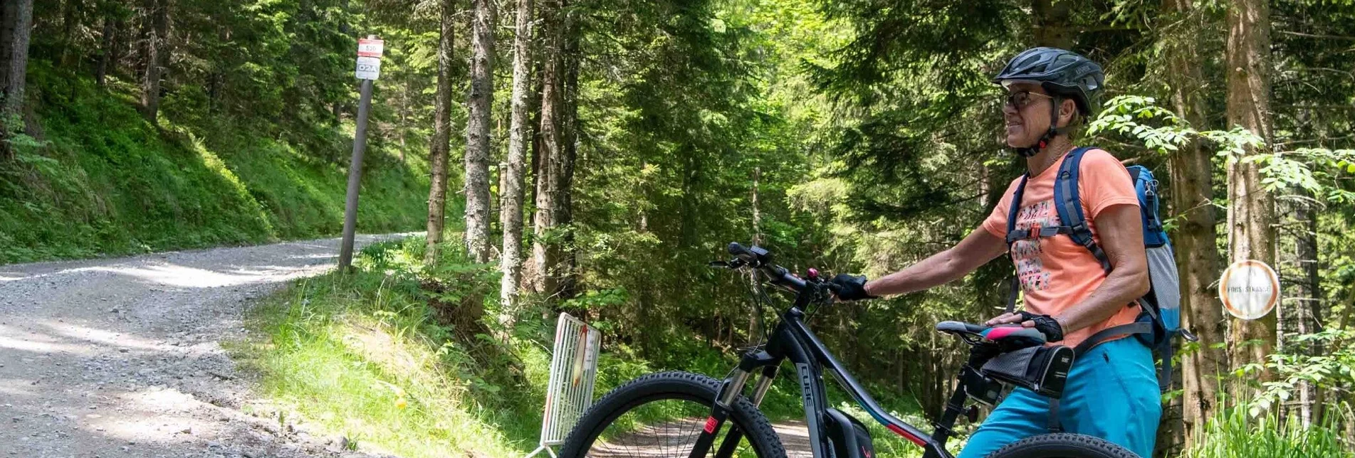 Mountainbike Vom Pfaffenwald auf die Schweizeben oder den Hochanger - Touren-Impression #1 | © Hochsteiermark