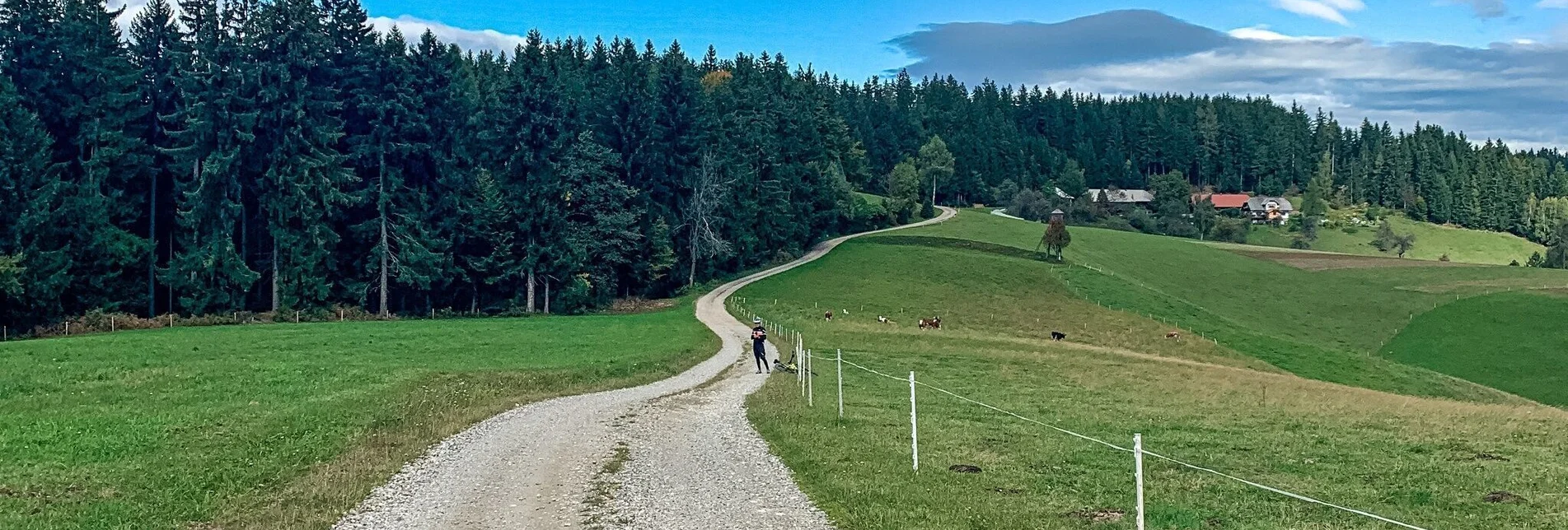 Mountainbike Odernik, Nr. 104 - Touren-Impression #1 | © Südsteiermark