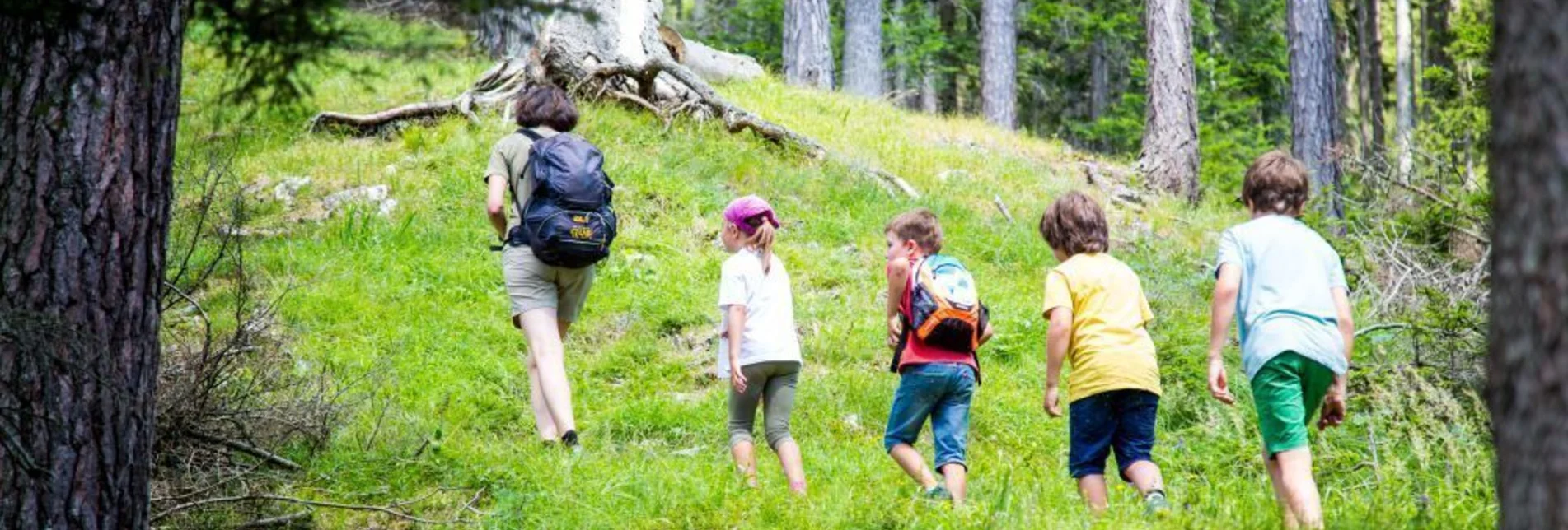 Hiking route To the Ploderer Cross and the Bleiweiß Mine - Touren-Impression #1 | © Hochsteiermark