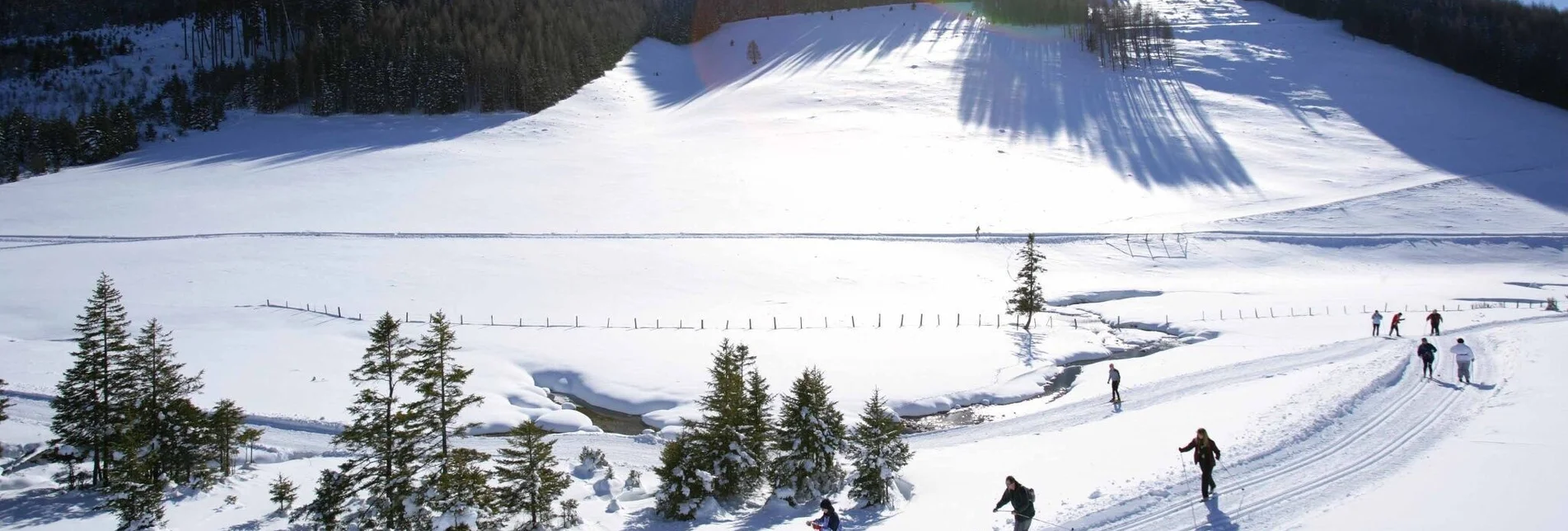 Langlauf Skating Sommeralm-Loipe, Sommeralm - Touren-Impression #1 | © TVB Oststeiermark
